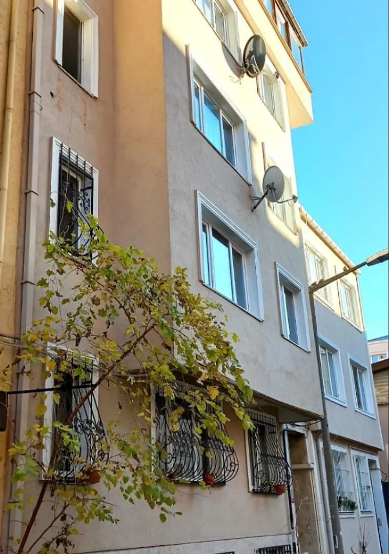 Appartement Au Sous Sol No 1 Istanbul 0*,